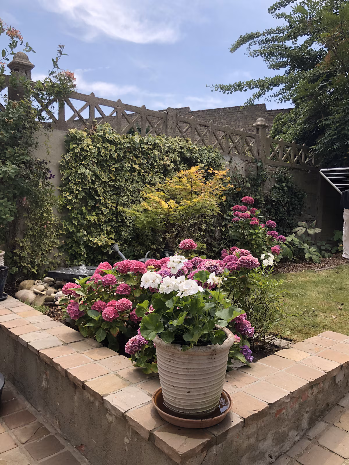 838c0103vakantiewoning-brugge-bellerose-buiten